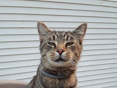 Brandenburg Family Dentistry - Meade County's Most Experienced Dentist