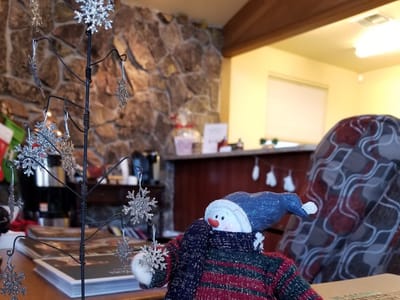 Brandon L Turley DMD PC