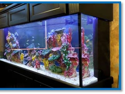 Brewer Dental Orthodontic & Pediatric Center