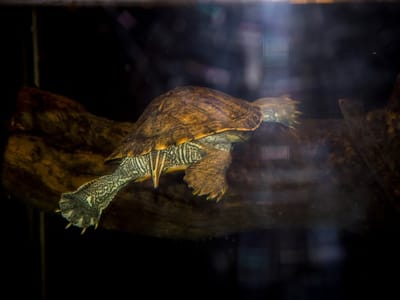 Briargate Advanced Family Dental