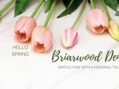 Briarwood Dentistry