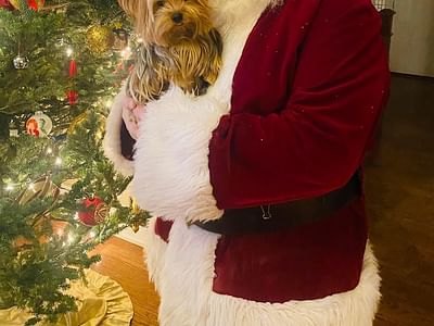 Briarwood Valley Dentistry