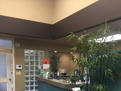 Bridgeport Dental Arts