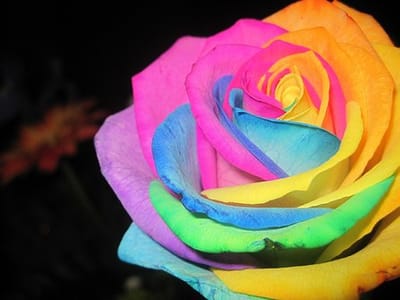 Bright Smile Dentistry