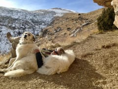 Buffalo Dental Clinic