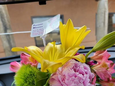 Burgin Dentistry I Jeremy Burgin D.D.S. PC