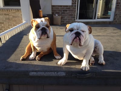 Burton Family Dentistry