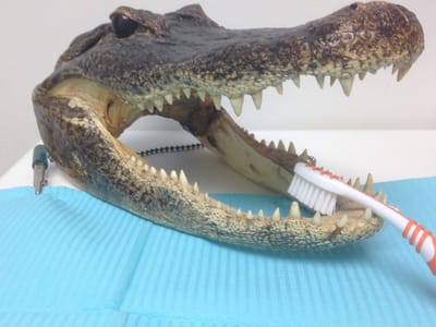 Burton Family Dentistry