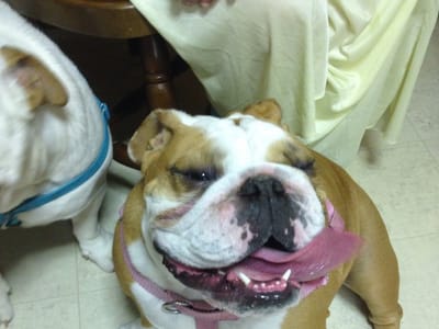 Burton Family Dentistry