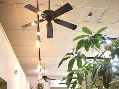 Capitol Hill-Montlake Dentistry