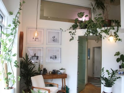 Capitol Hill-Montlake Dentistry