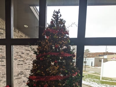 Caro Family Dentistry