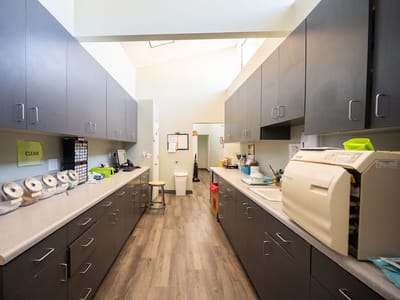 Carolina dental arts