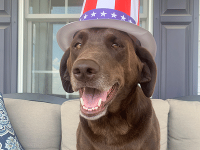 Chadwell Family Dentistry