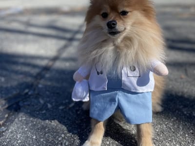 Claremont Dental Group