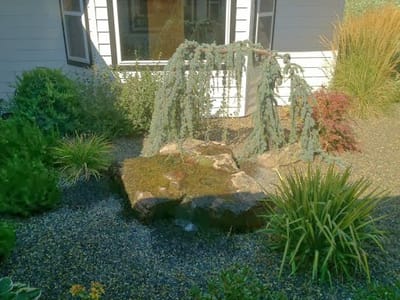 Collins Family Dentistry