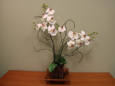 Columbia River Dentistry