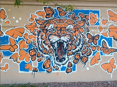 Comfort Dental South College - Your Trusted Dentist in Fort Collins