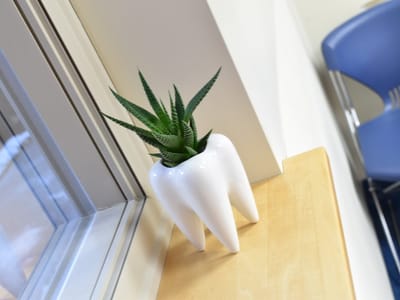 Community Dental-Biddeford