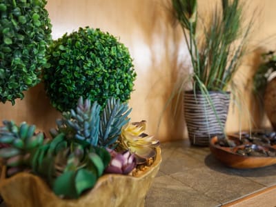 Complete Health Dentistry