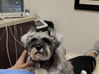 Concho Valley Family Dental