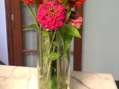 Conley Family Dentistry