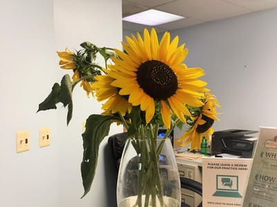 Conley Family Dentistry