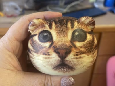 Copperas Cove Dentist