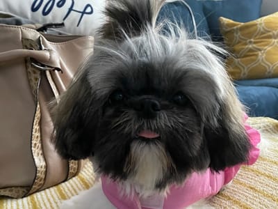 CopperMine Dental Studio at Rancho Sahuarita, PLLC