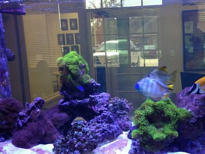 Corkern Family Dental