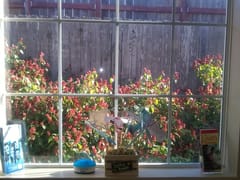 Corpus Christi General & Implant Dentistry