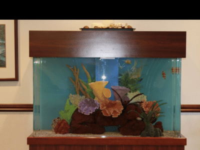 Cottage Lake Family Dentistry