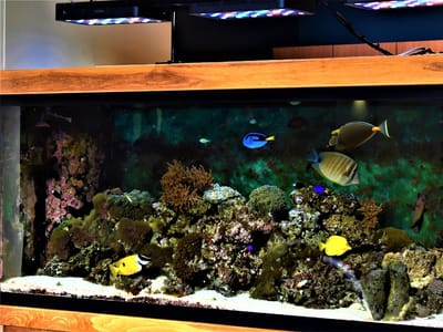 Coulter Family Dentistry