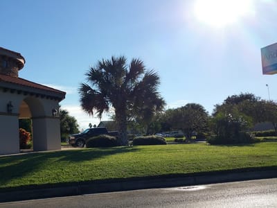 Cristina Sosa Anderson DDS