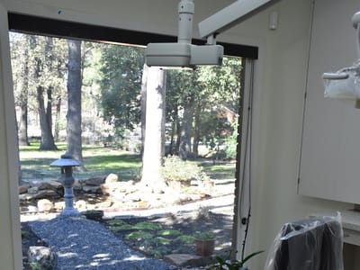 Crystal Van Anh Phi, D.D.S.