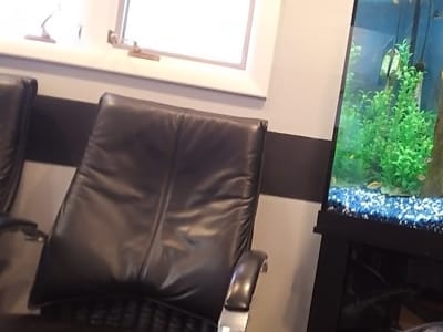 CU Dentists, LTD of Champaign: R. Benjamin Scott, DMD