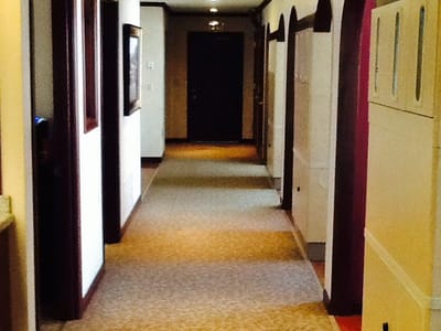 David R. Brown D.D.S.