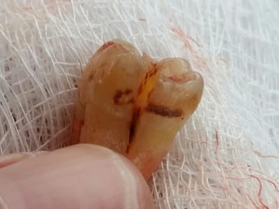 David S Leslie DMD Family Dentistry