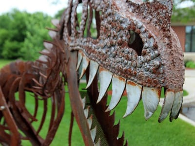 Davidson Family Dentistry