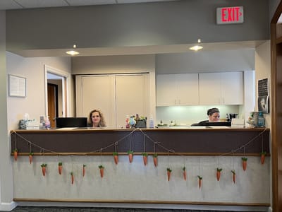 Dedicated Dental Solutions