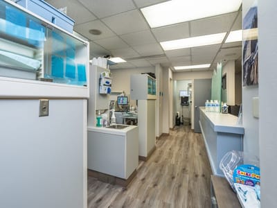 Delaney Park Dental