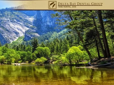 Delta Bay Dental Group