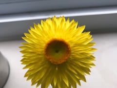 DeMarco Dental Practice