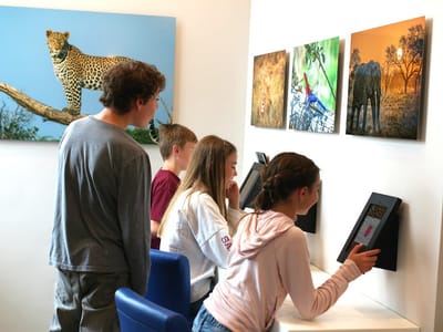 DeMille MacKay Dental