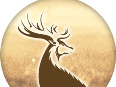 Dennis E Janecke DDS PLLC