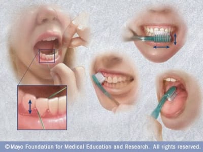 Dental Arts