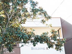 Dental Faculty Associates