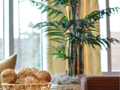 Dental Professionals of Wheaton