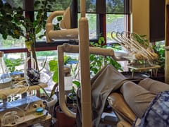 Dental Solutions Inc