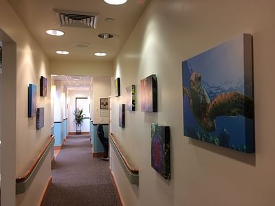 Dentist Central Maui